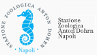 Bandi di concorso Stazione Zoologica Anton Dohrn di Napoli
