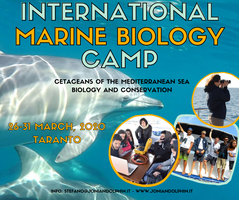 Marine Biology Camp - Taranto