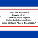 Borsa di studio “Paolo Brancaccio” 2023