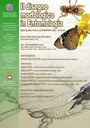 Locandina Mostra: " Il Disegno Morfologico in Entomologia"