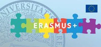 Erasmus+ Traineeship: progetto EU4EU 2023
