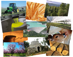 Dipartimento di Scienze Agro Ambientali e Territoriali (DiSAAT)