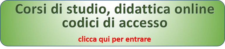 accesso-did-online.jpg