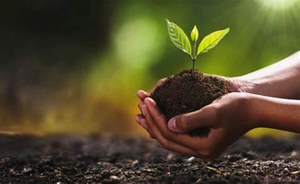 13/5/2024 - International Day of Plant Health