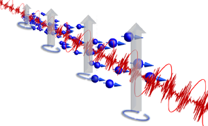 Quantum-Enhanced Magnetometry at Optimal Number Density