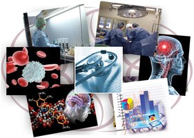 Scienze Biomediche e Oncologia Umana (DIMO)